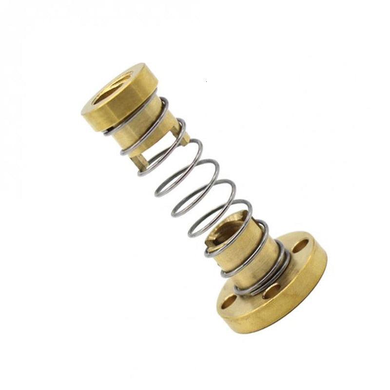 Backlash spring