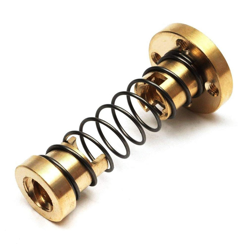 Backlash spring